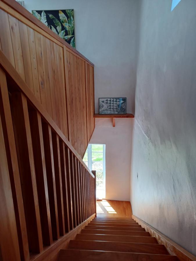 Pirita Vineyard Cottage. Upper Moutere Eksteriør billede