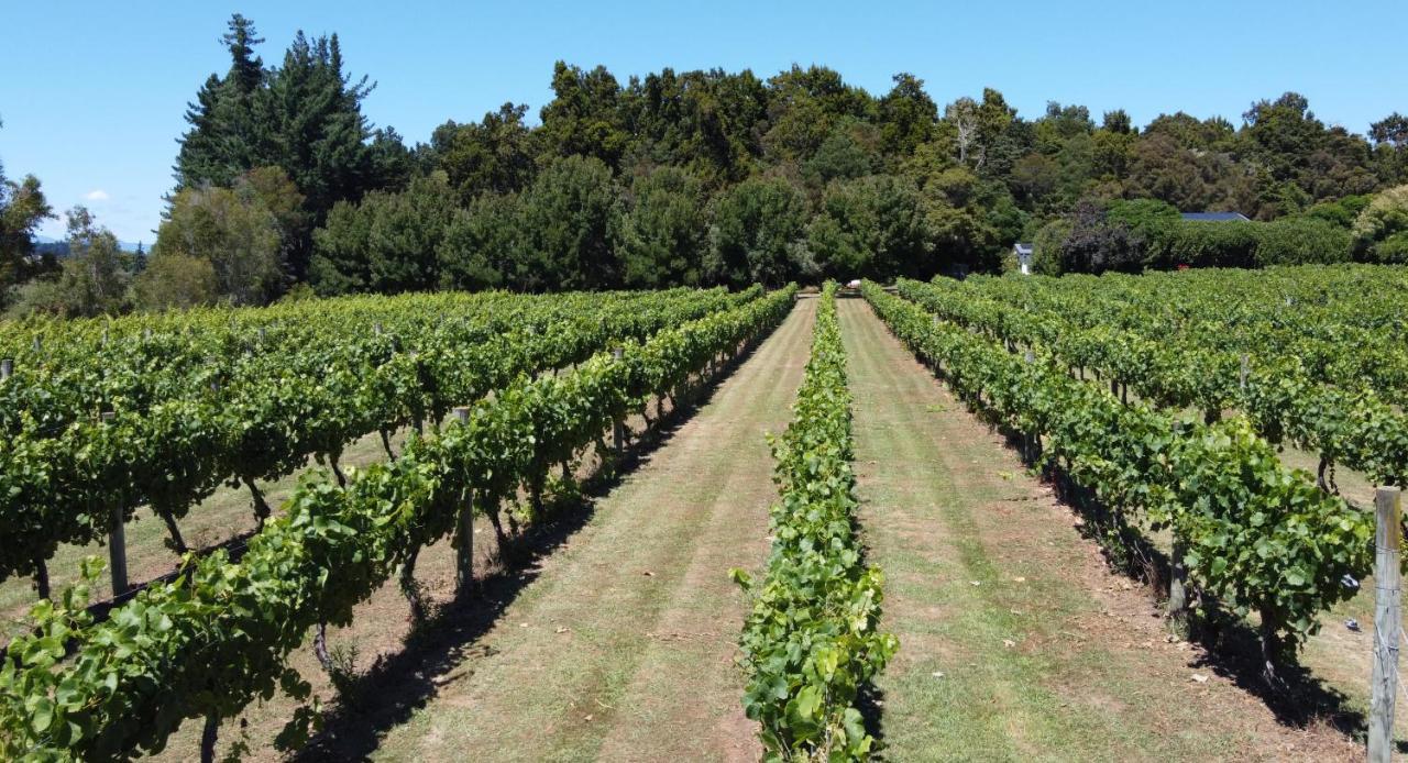 Pirita Vineyard Cottage. Upper Moutere Eksteriør billede